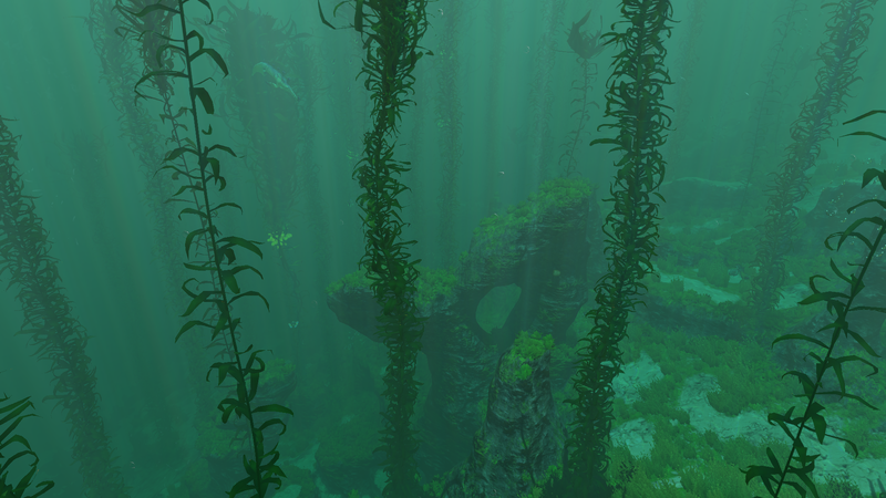 File:Kelp Forest Overview Day.png