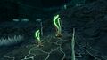 Red Green Tentacles