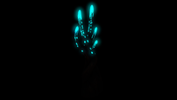 Crab Claw Kelp