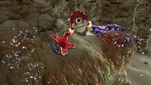 Crash.jpg