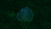 Nickel Ore on the seabed