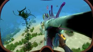 StalkerFeedingTime.jpg