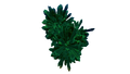 Thumbnail for version as of 09:53, 5 September 2016