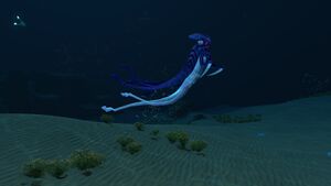 Dunes (26).jpg
