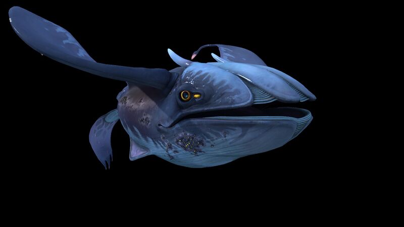 File:Glow Whale 2.jpg