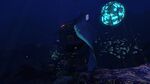 Grand Reef Large Wreck 2