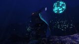 GrandReefWreck-2.jpg