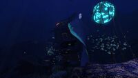 Grand Reef Large Wreck 2