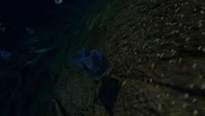 MagnetiteM.jpg