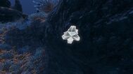 Oxide.deepgrandreef