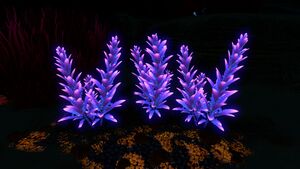 Purple Stalk02.jpg