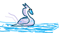 Thumbnail for version as of 07:04, 7 August 2021