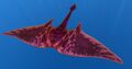 Ghost Ray Front as seen on trello