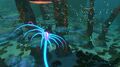 Jellyrays swimming in the Mushroom Forest