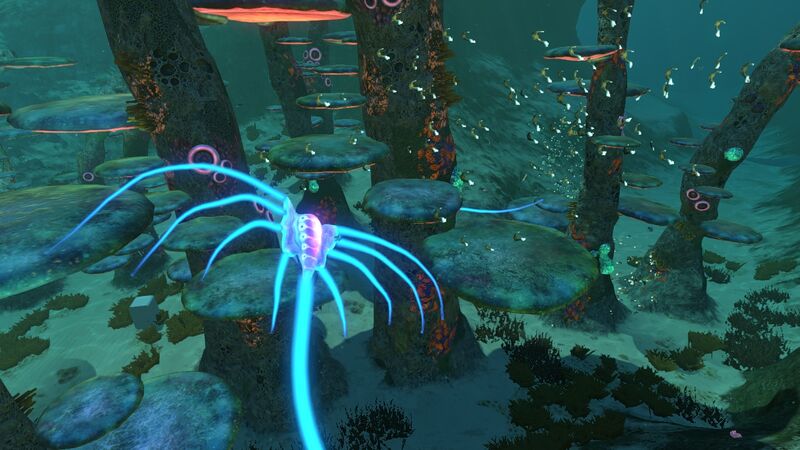 File:Jellyray Roaming.jpg