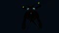 Bioluminescence