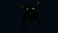 Bioluminescence
