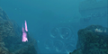 Thumbnail for version as of 05:52, 7 August 2021