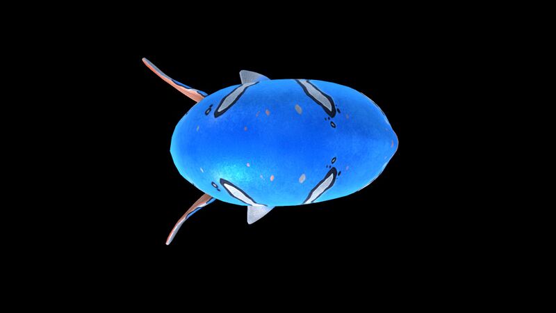 File:Trivalve 3.jpg