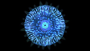 Brine Lily Top View.png