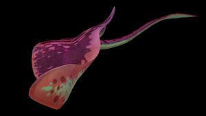CrimsonRay6.jpg