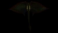 Crimson Ray