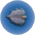 Cured Airsack.png