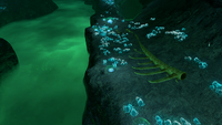 Skeletons found inside and outside the brine river
