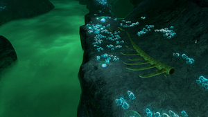 DRF Exterior Bones.png