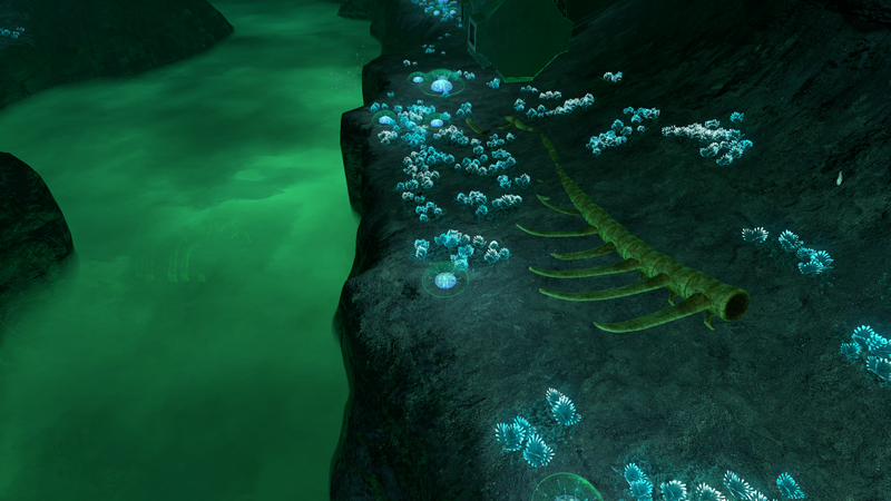 File:DRF Exterior Bones.png