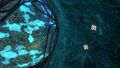 Deep Grand Reef (23).jpg