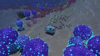The Supply Crate in the Bulb Zone