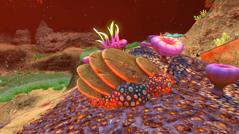 File:SlantedShellAquarium.png