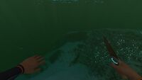Survival Knife in the Player's hand