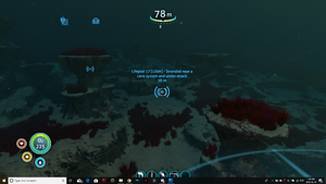 Capture.png
