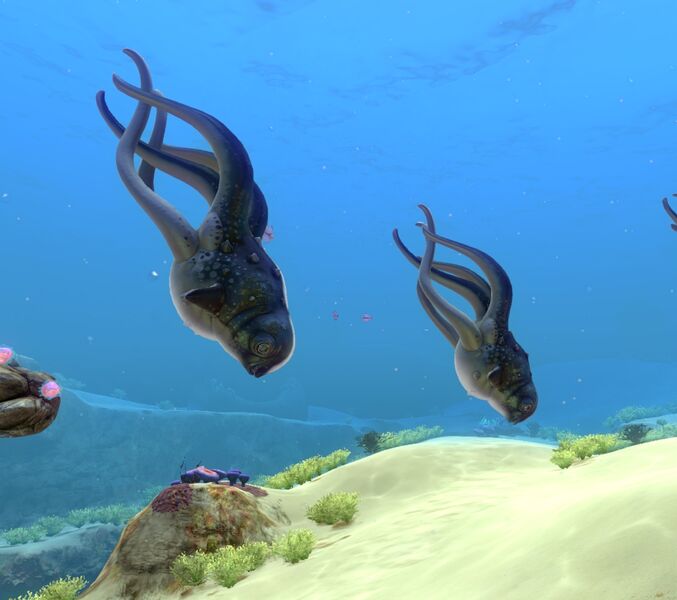File:Cute Fish 3.jpg
