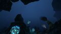 Deep Grand Reef (1).jpg