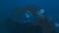 One of the smaller rock arches in the Grand Reef