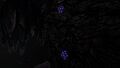 Jelly Plants are commonly found in Jelly Shroom Caves