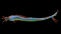 Thumbnail for version as of 03:40, 21 July 2017