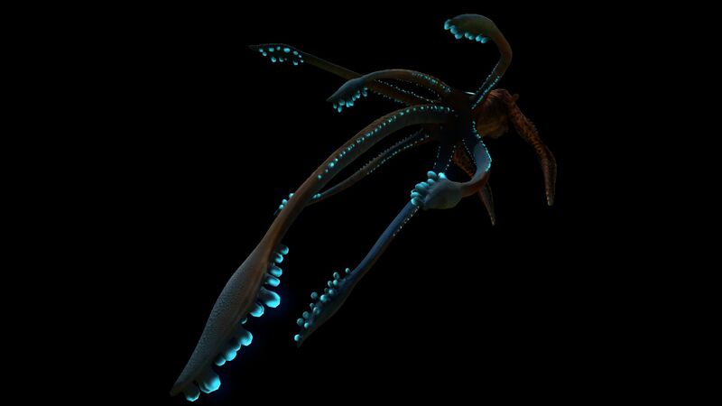 File:SeaEmperor9.jpg