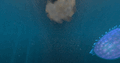 GIF - Underwater Islands Falling Rocks
