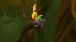 AKC Spinner Fish.jpg