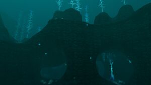 BloodKelpZone2 6.jpg