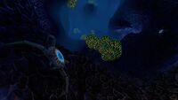 Cave Crawlers in the Underwater Islands Caves