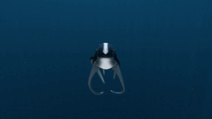 Cute Fish Treat.gif