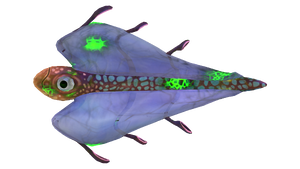 Infected Bladderfish.png