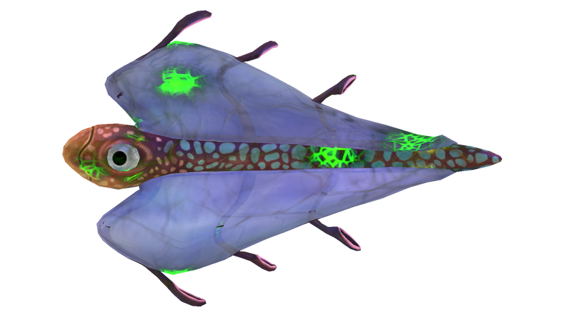 File:Infected Bladderfish.png