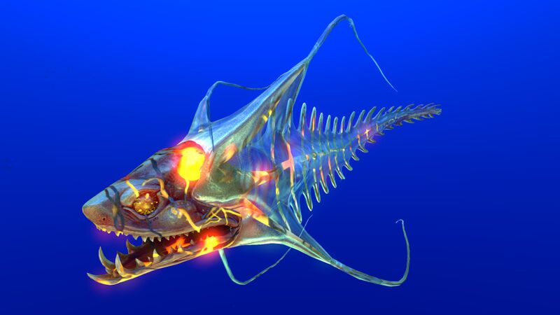 File:Infected Spine Eel.jpg