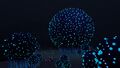 Koosh Bushes at night